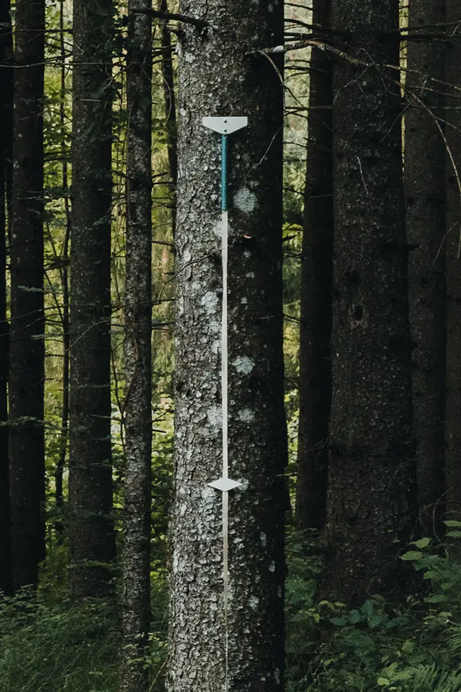 ausmessung-gutachten-wald ausmessung-gutachten-wald